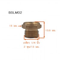 BSLM02 วัดไซต์